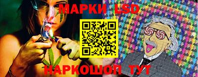 амф Майкоп
