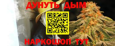амф Майкоп