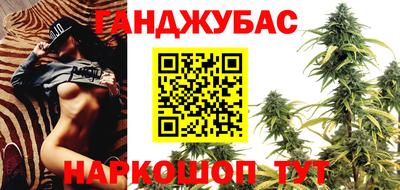 амф Майкоп