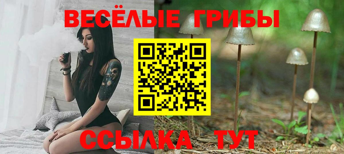 Псилоцибиновые грибы GOLDEN TEACHER  Вход с VPN  Новотроицк 